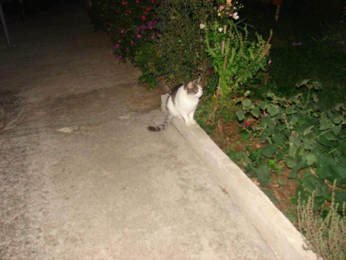 Filip 2 Ξενοδοχείο Biograd Na Moru Εξωτερικό φωτογραφία